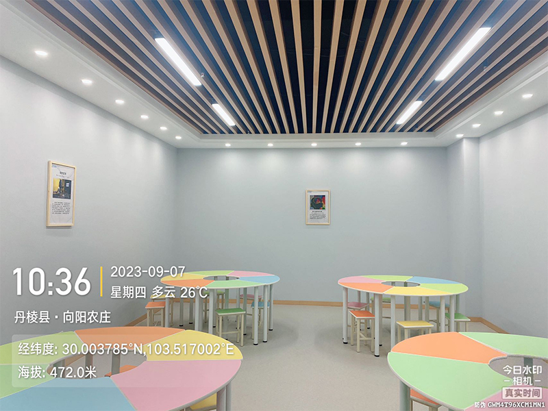 某中小学心理辅导室建设成功案例